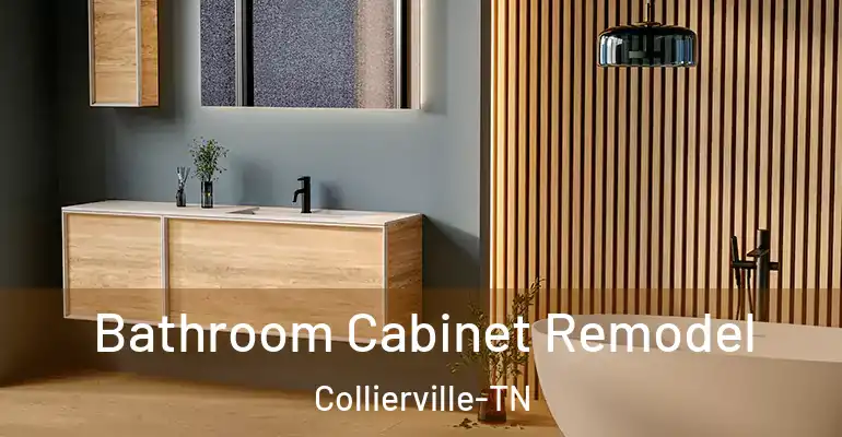 inner Bathroom imggen Bathroom Cabinet Remodel Collierville-TN