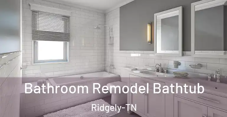 inner Bathroom imggen Bathroom Remodel Bathtub Ridgely-TN