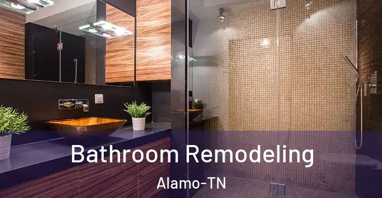 inner Bathroom imggen Bathroom Remodeling Alamo-TN
