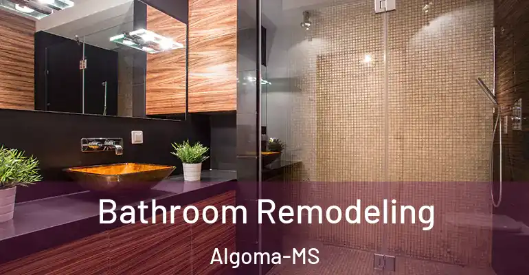 inner Bathroom imggen Bathroom Remodeling Algoma-MS