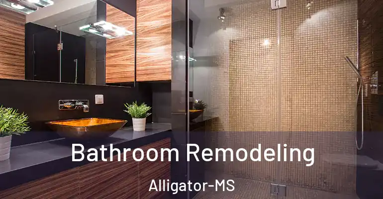 inner Bathroom imggen Bathroom Remodeling Alligator-MS
