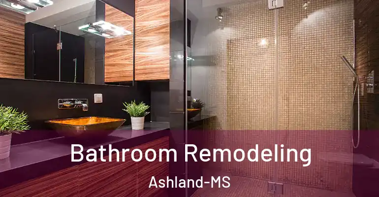 inner Bathroom imggen Bathroom Remodeling Ashland-MS