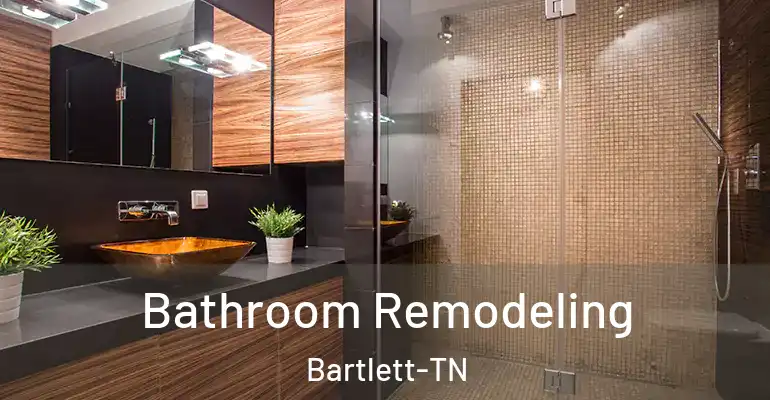 inner Bathroom imggen Bathroom Remodeling Bartlett-TN