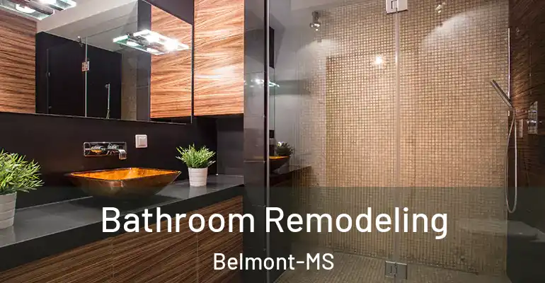 inner Bathroom imggen Bathroom Remodeling Belmont-MS