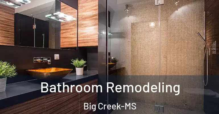 inner Bathroom imggen Bathroom Remodeling Big Creek-MS