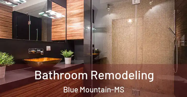 inner Bathroom imggen Bathroom Remodeling Blue Mountain-MS