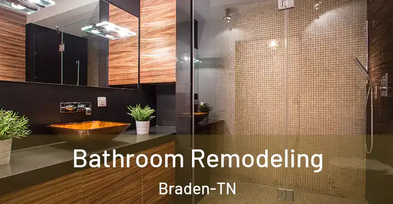 inner Bathroom imggen Bathroom Remodeling Braden-TN