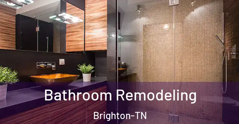 inner Bathroom imggen Bathroom Remodeling Brighton-TN