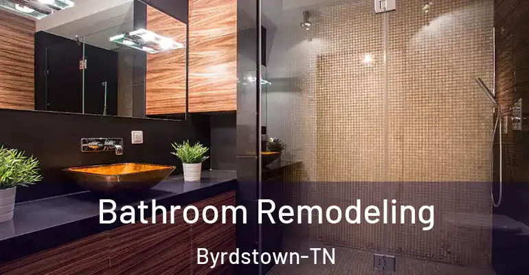 inner Bathroom imggen Bathroom Remodeling Byrdstown-TN