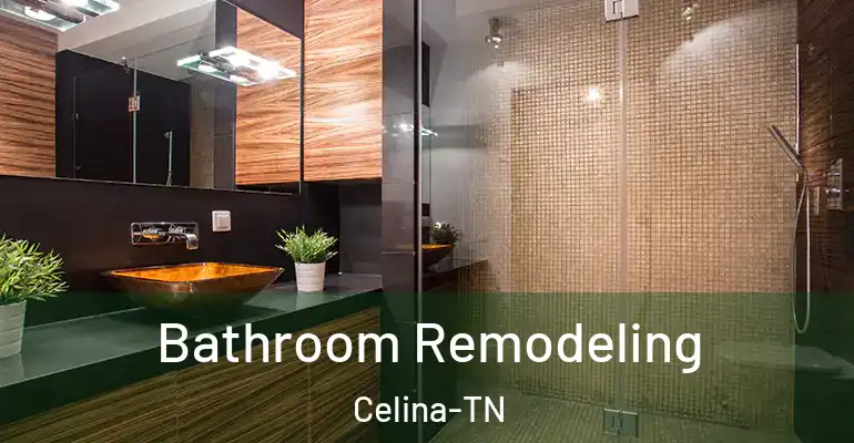 inner Bathroom imggen Bathroom Remodeling Celina-TN
