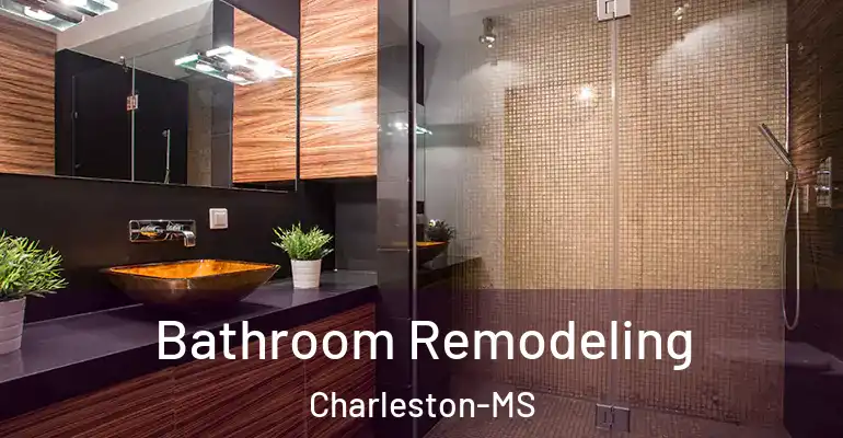 inner Bathroom imggen Bathroom Remodeling Charleston-MS