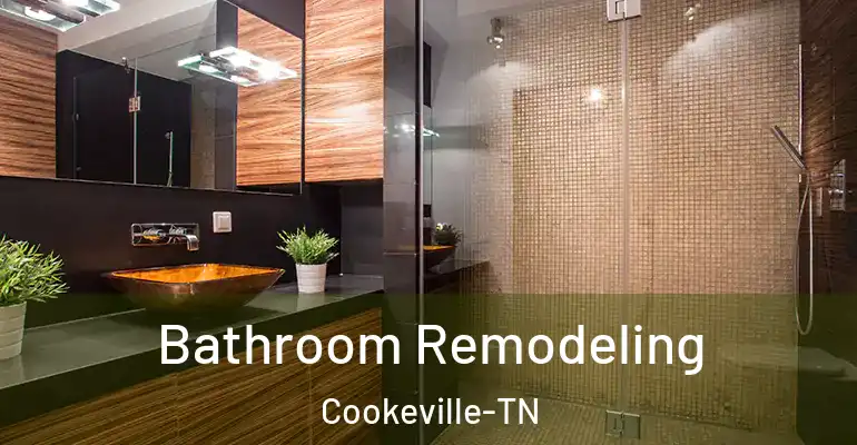 inner Bathroom imggen Bathroom Remodeling Cookeville-TN