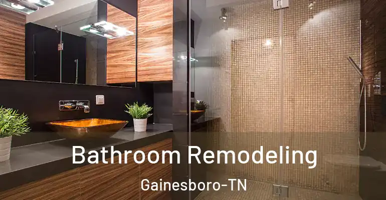 inner Bathroom imggen Bathroom Remodeling Gainesboro-TN