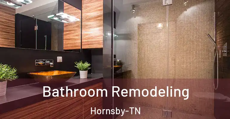 inner Bathroom imggen Bathroom Remodeling Hornsby-TN