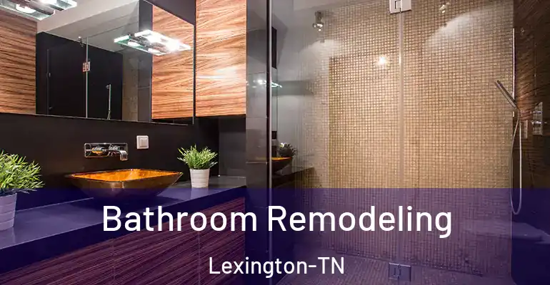 inner Bathroom imggen Bathroom Remodeling Lexington-TN