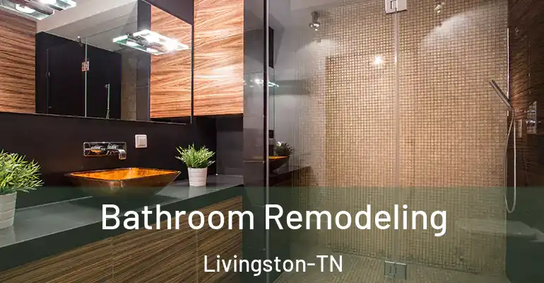 inner Bathroom imggen Bathroom Remodeling Livingston-TN