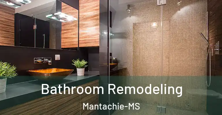 inner Bathroom imggen Bathroom Remodeling Mantachie-MS
