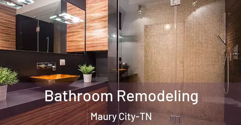inner Bathroom imggen Bathroom Remodeling Maury City-TN