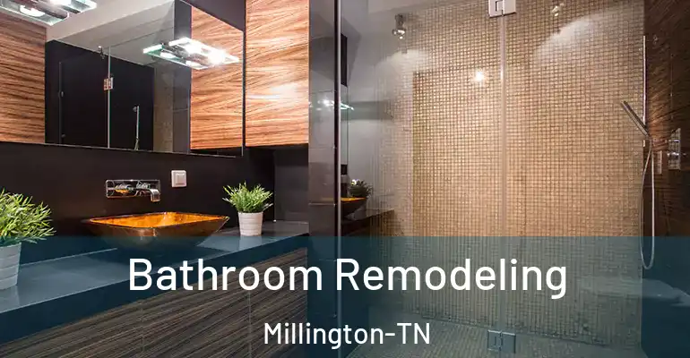inner Bathroom imggen Bathroom Remodeling Millington-TN