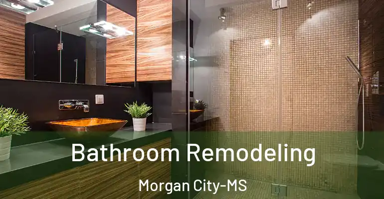 inner Bathroom imggen Bathroom Remodeling Morgan City-MS