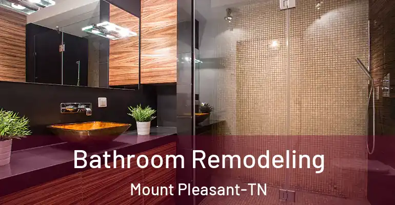 inner Bathroom imggen Bathroom Remodeling Mount Pleasant-TN