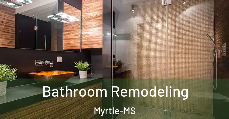 inner Bathroom imggen Bathroom Remodeling Myrtle-MS