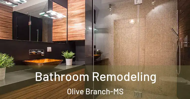inner Bathroom imggen Bathroom Remodeling Olive Branch-MS