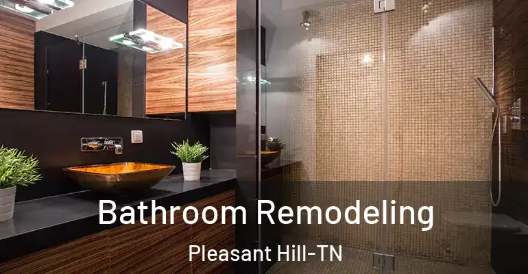 inner Bathroom imggen Bathroom Remodeling Pleasant Hill-TN