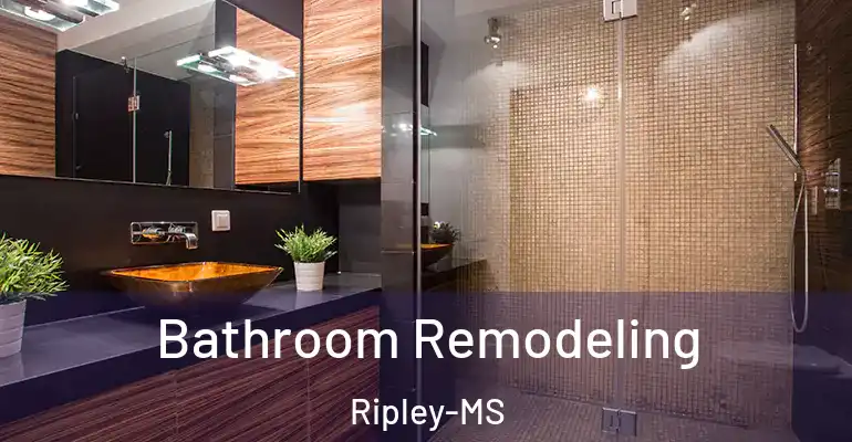 inner Bathroom imggen Bathroom Remodeling Ripley-MS
