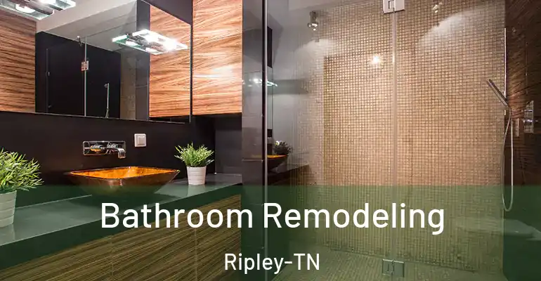 inner Bathroom imggen Bathroom Remodeling Ripley-TN