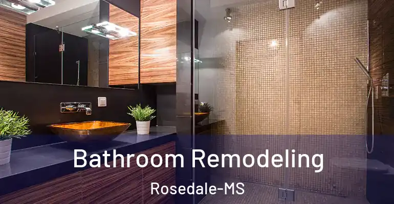 inner Bathroom imggen Bathroom Remodeling Rosedale-MS