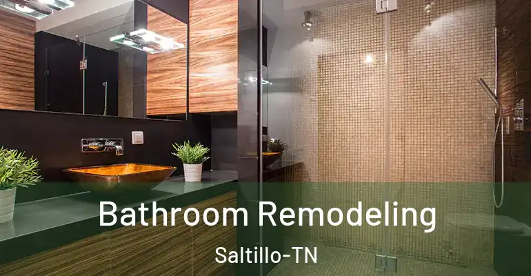 inner Bathroom imggen Bathroom Remodeling Saltillo-TN