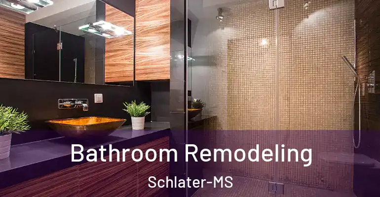 inner Bathroom imggen Bathroom Remodeling Schlater-MS