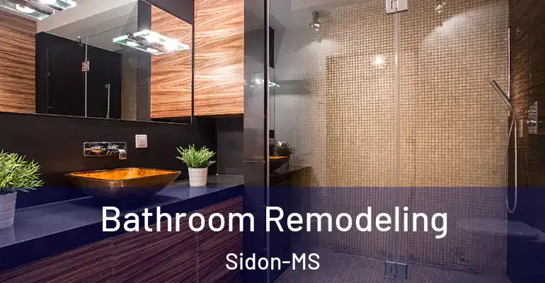 inner Bathroom imggen Bathroom Remodeling Sidon-MS