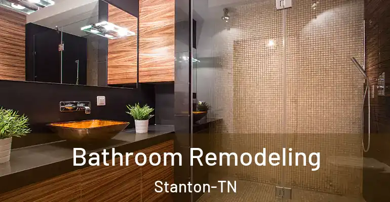 inner Bathroom imggen Bathroom Remodeling Stanton-TN