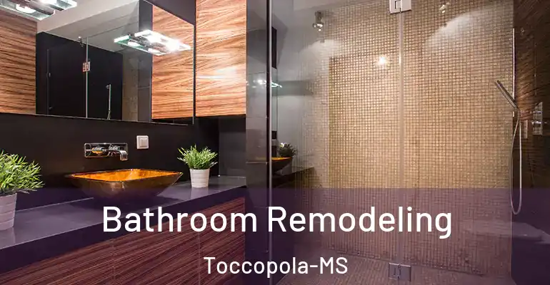 inner Bathroom imggen Bathroom Remodeling Toccopola-MS