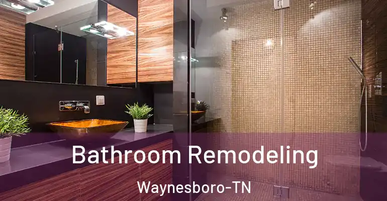 inner Bathroom imggen Bathroom Remodeling Waynesboro-TN