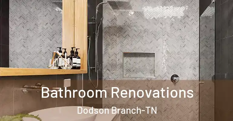 inner Bathroom imggen Bathroom Renovations Dodson Branch-TN