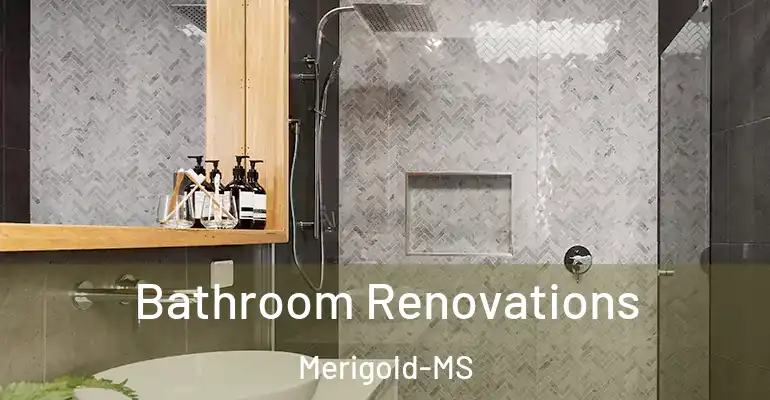 inner Bathroom imggen Bathroom Renovations Merigold-MS