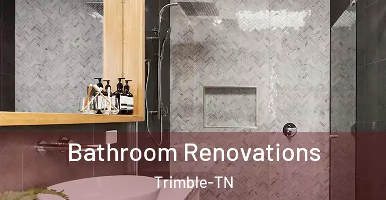 inner Bathroom imggen Bathroom Renovations Trimble-TN