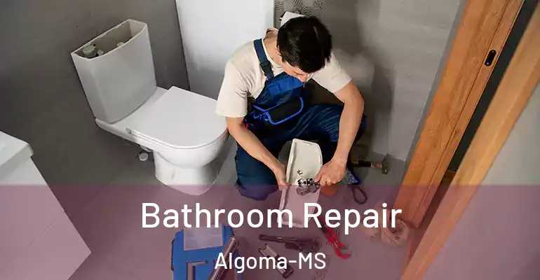 inner Bathroom imggen Bathroom Repair Algoma-MS