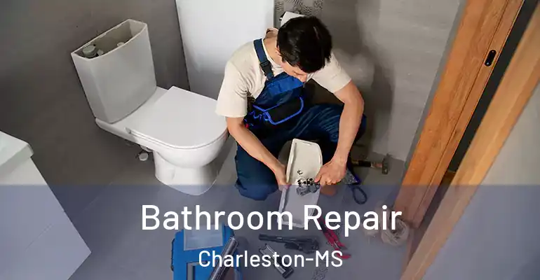 inner Bathroom imggen Bathroom Repair Charleston-MS