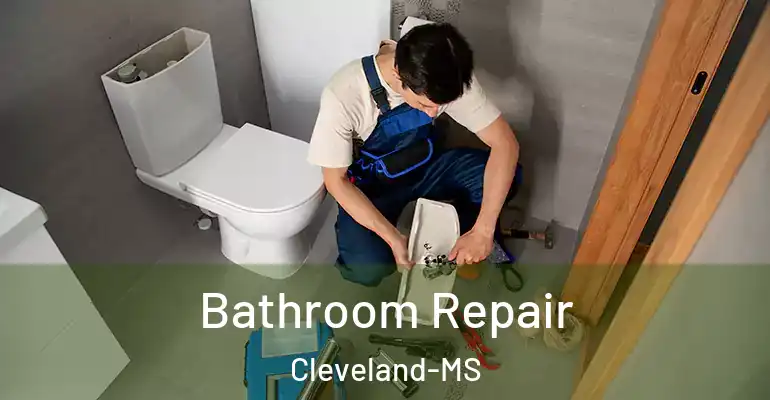 inner Bathroom imggen Bathroom Repair Cleveland-MS