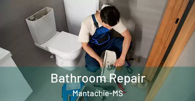 inner Bathroom imggen Bathroom Repair Mantachie-MS