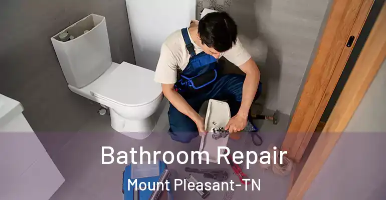 inner Bathroom imggen Bathroom Repair Mount Pleasant-TN