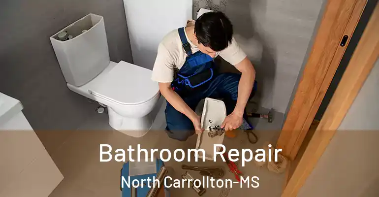 inner Bathroom imggen Bathroom Repair North Carrollton-MS