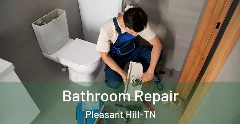 inner Bathroom imggen Bathroom Repair Pleasant Hill-TN