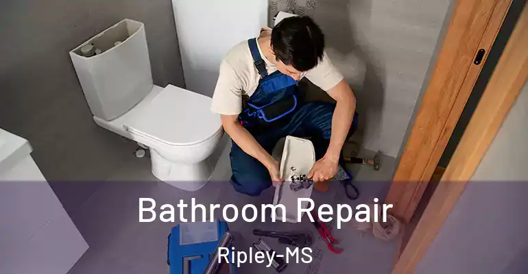 inner Bathroom imggen Bathroom Repair Ripley-MS