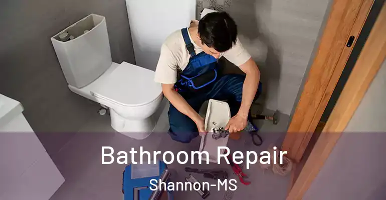 inner Bathroom imggen Bathroom Repair Shannon-MS