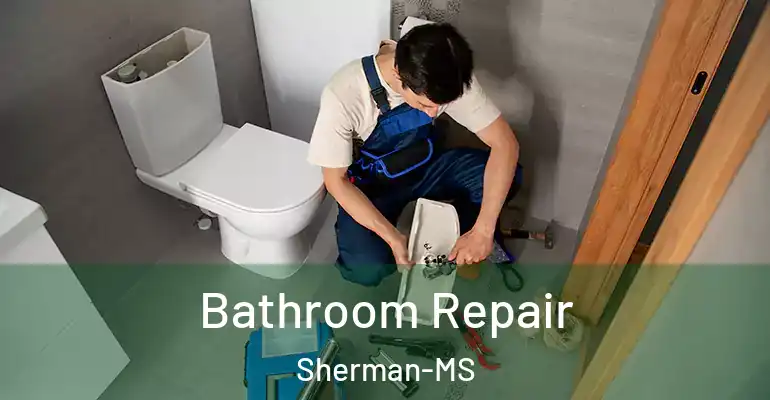 inner Bathroom imggen Bathroom Repair Sherman-MS